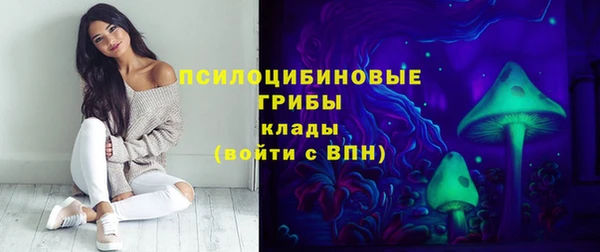 ГАЛЛЮЦИНОГЕННЫЕ ГРИБЫ Алексин