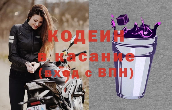 амф Алзамай