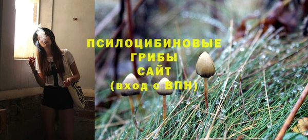 амф Алзамай