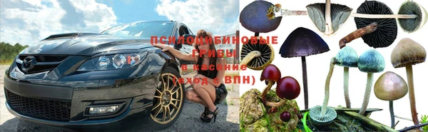 амф Алзамай
