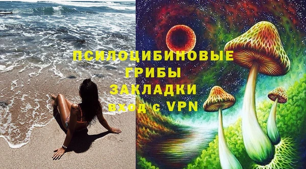 ГАЛЛЮЦИНОГЕННЫЕ ГРИБЫ Алексин