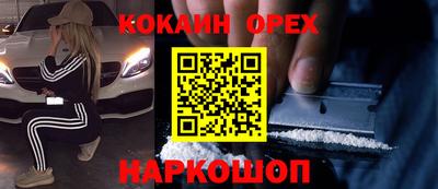 стаф Дубна