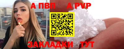 стаф Дубна