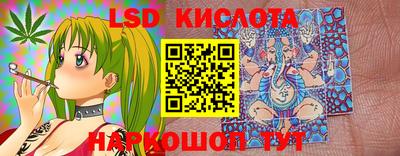 стаф Дубна