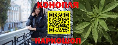 стаф Дубна