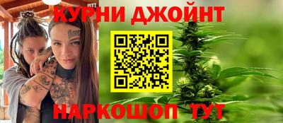 стаф Дубна
