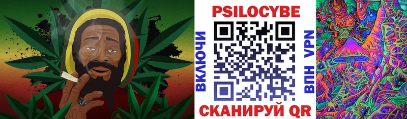 Псилоцибиновые грибы Psilocybine cubensis  продажа наркотиков  Новозыбков 