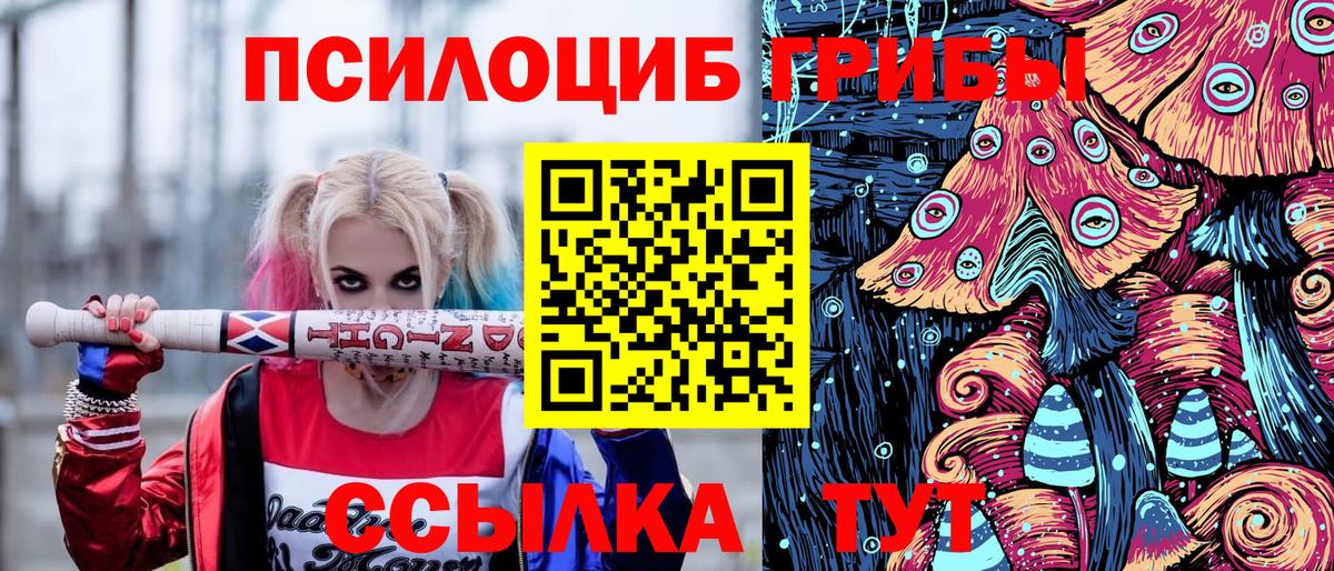 Галлюциногенные грибы GOLDEN TEACHER Новозыбков