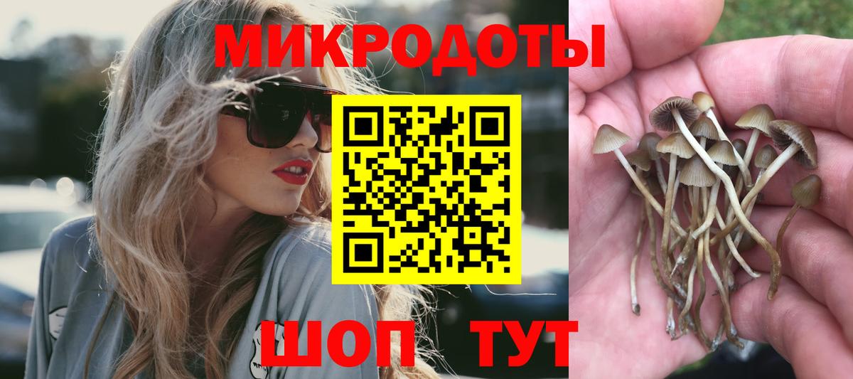 Новозыбков  Псилоцибиновые грибы Psilocybine cubensis  Вход с VPN 